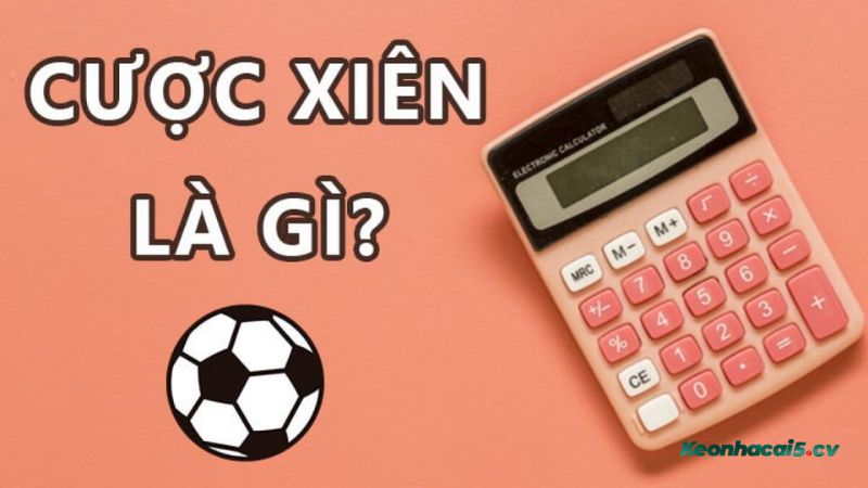 Cược xiên là gì? Cược xiên là gì?