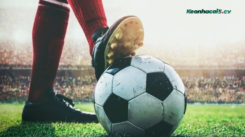 Ưu nhược điểm của cược xâu Ưu nhược điểm của cược xâu