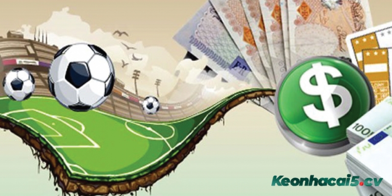 Tích lũy kinh nghiệm bào cỏ hiệu quả